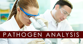 Female and Male Researcher - Pathogen Analysis